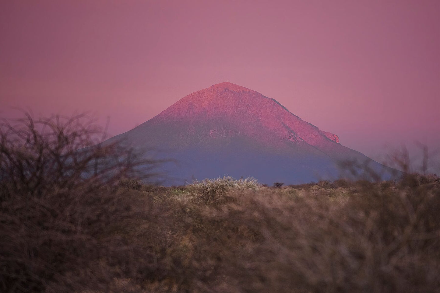 Pastel Skies